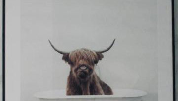 Jaskółcze Gniazdo - Foto 3