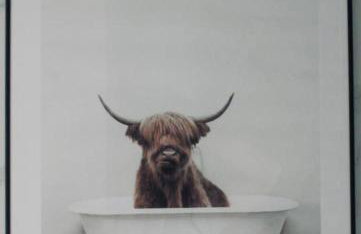 Jaskółcze Gniazdo - Foto 3