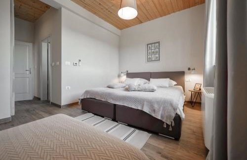 Villa & SPA My Koltrina - Foto 77