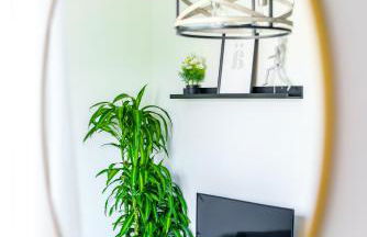 Jungle House Columbus Short North Downtown Free Parking - Steps to Convention Center & Nationwide Arena - 1BR Luxury Home - Sleeps 6 - Over 5,800 Five Star Stays - Foto 30