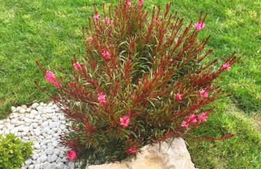 Emozione Marina - appartamento fronte mare - Foto 28