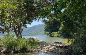 Peri kit house temporada - Foto 7