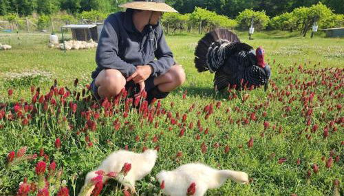 Phoenix Farms Vineyard - Foto 2