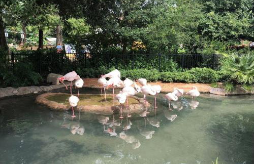 Beautiful Apartment at The Botanical Gardens #1 - Foto 41