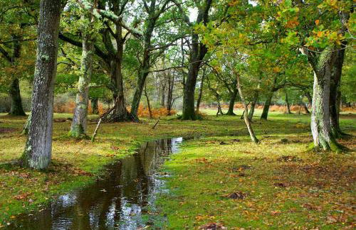 New Modern Studio in Chandlers Ford with Parking - Foto 6