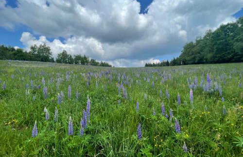 Filipówka - dom z sauną w Karkonoszach - Foto 33