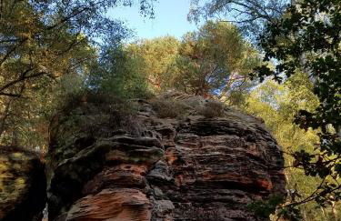 Ferienwohnung Mechernich-Eifel - Photo 9