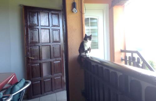 Studio apartman Šafarić - Foto 24