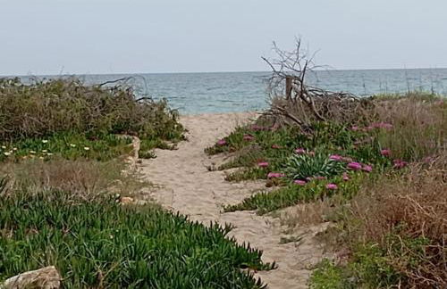 Loft con encanto en Creixell - Foto 32