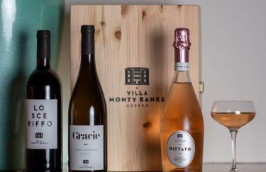 Boutique Hotel Villa Monty Banks - Foto 32