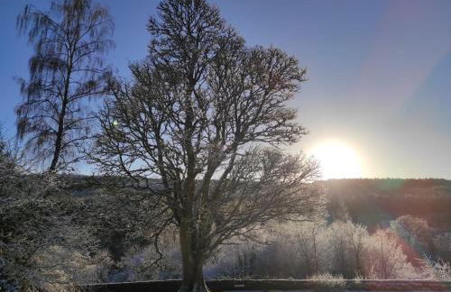 Kirkton Cottage whole house in Cairnie Aberdeenshire - Photo 16