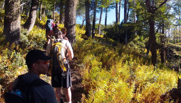 Cerro Bella Vista Trekking - Private - Foto 2