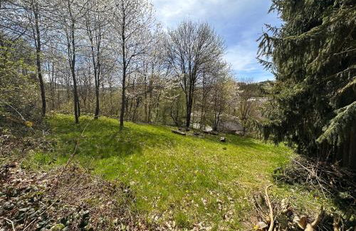 Private Spacious Villa near Winterberg and Willingen 14 Guests HUGE GARDEN Free Parking for Multiple Cars - Foto 16