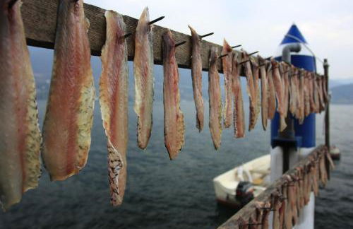 Mansarda di Masha - Photo 29