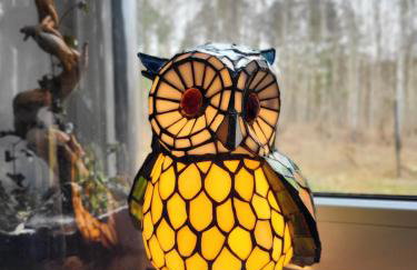 Brzozowa skarpa - dom nad jeziorem przy Suntago - Foto 10