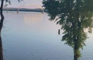 Panoramic Sunset View Waterfront Firepit - Foto 42