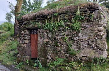 Canastro do Vidoeiro - Foto 42