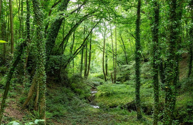 Beautiful 1 bed Glamping pod in Battle - Foto 14