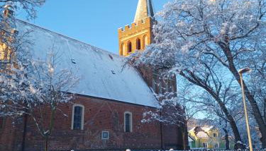 Juli's Ferienhaus im Spreewald - Foto 5