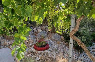 Seafront rural big house at Solta Croacia island - Photo 41