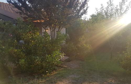 Agriturismo Collelungo di Maremma - Foto 9