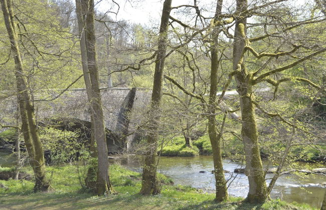 Pet-friendly Escape in Fauvillers - Foto 47