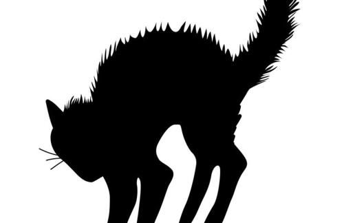 Rafaelo's Apartment - Foto 21