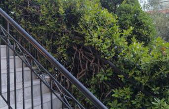 The house in nature SKG - Foto 23