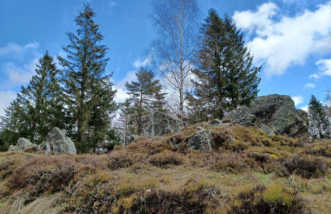 Cozy Holiday Home in Stadlern near Ski Slopes - Foto 30