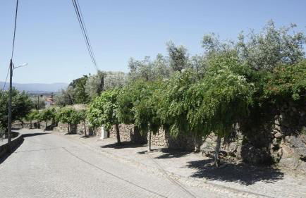 Casas do Aidro - Foto 4