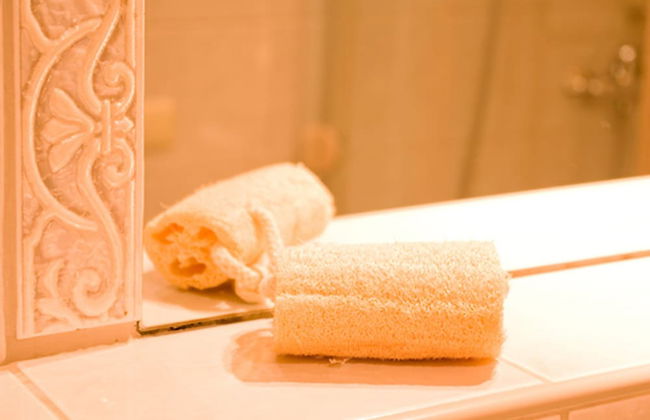 Alpenrösle - Foto 35