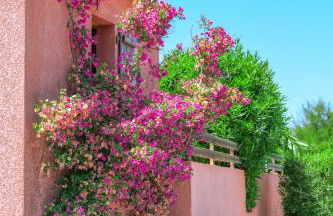 Le Maquis Bella Vista - Foto 13