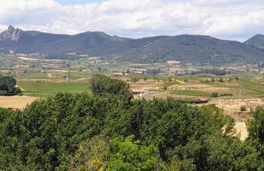 Apartamento REY ENEO I - Photo 29