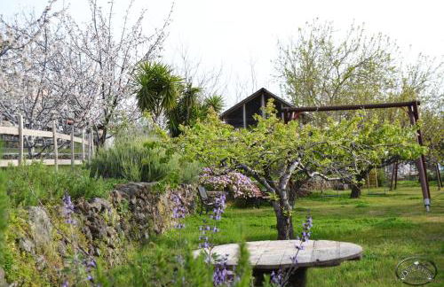 Agriturismo Dolcetna - Foto 23