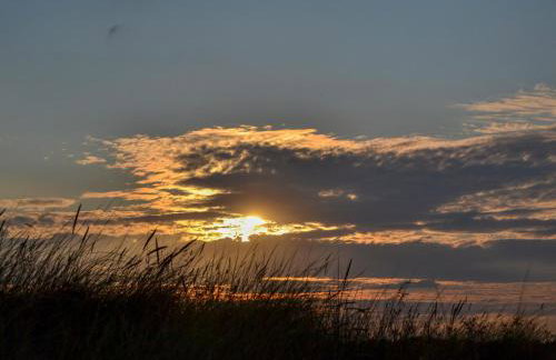 Daisy Cottage - Photo 20