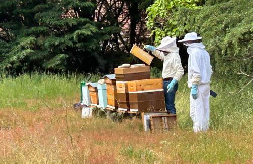 Gîte Glycines & Nature, proche Beauval et Châteaux - Foto 36