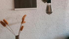 Ferienwohnung Nr. 1 Terrasse Bodden Kanu Bootssteg - Foto 5