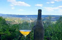 Holiday House Sant'Annunziata - Foto 6