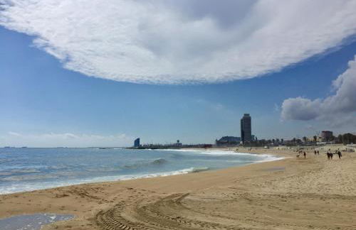 Charm Miró - Photo 32