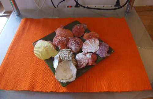 Apartman Helen - Foto 43