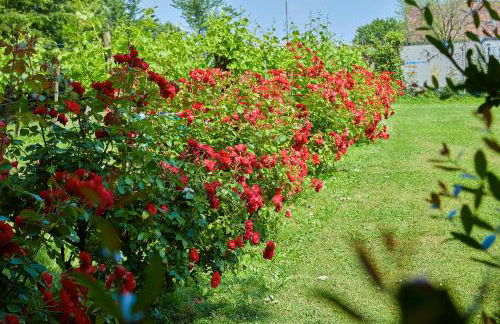 Villa Milesi in Franciacorta - Foto 46