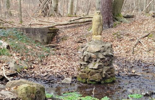 Ferienhaus Himmelsscheibe - Foto 29