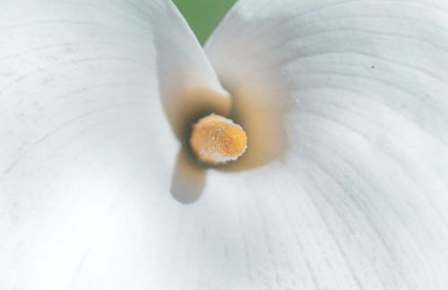 Agriturismo Villa Caterina - Foto 35