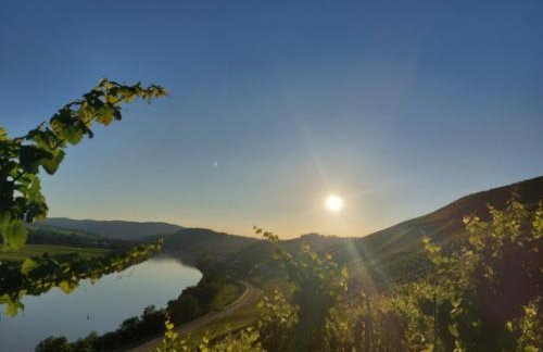Ferienwohnungen Zum Niederberg mit Balkon und Moselblick - Foto 50