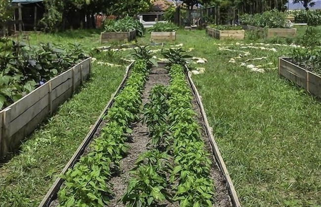 Agriturismo La Borina - Foto 46