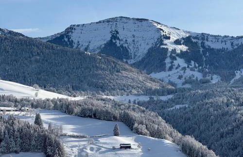 Le Bouveret - Ferienwohnungen Reinartz - Photo 35