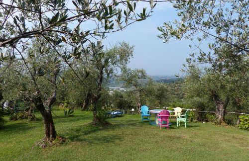 Azienda agricola Della Mezzaluna - Foto 50