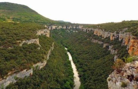 CASA RURAL PALACIO LOS LABREQUINES - Photo 46