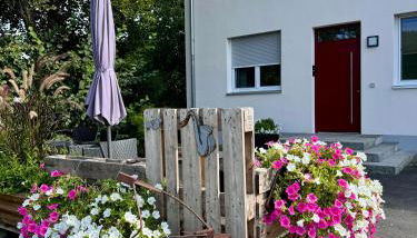 Ferienwohnungen Frank - Foto 2