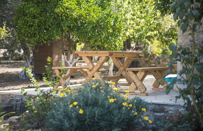 Chaihoutes stone villa into Olive farm in Zia - Foto 19